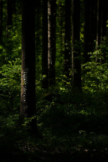 ZGF_3127_01.JPG