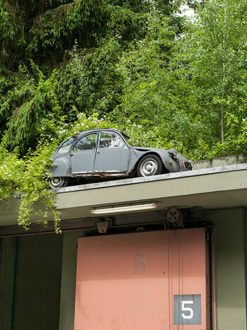 D71_4896-k.jpg