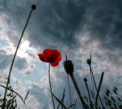 750_3123_DxO.jpg