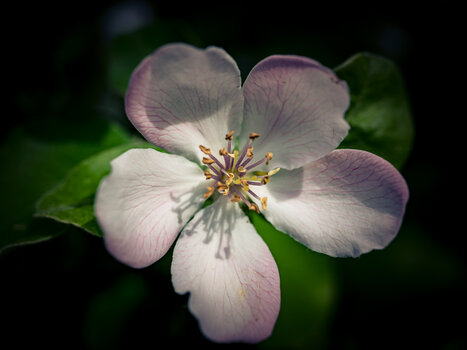 OS030525-110.jpg