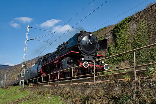 P16_9931_nikon.jpg