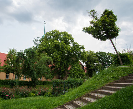 750_3098.jpg