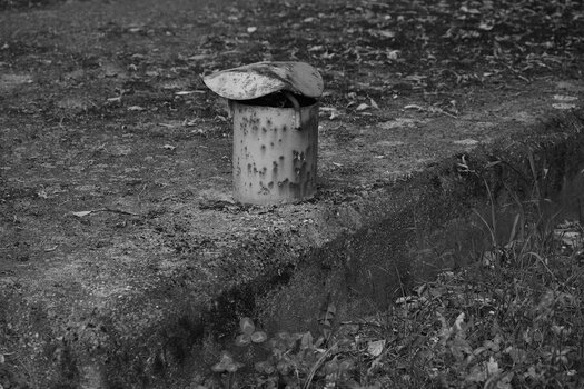 comp.IMGP1362.jpg