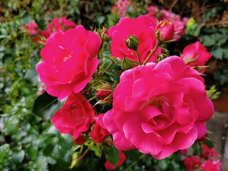 20250610_175903.jpeg