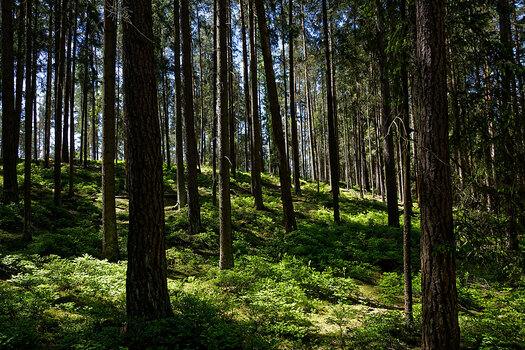 DSC_0195_DxO.jpg
