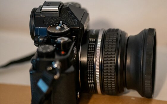 comp__DSC1496.jpg