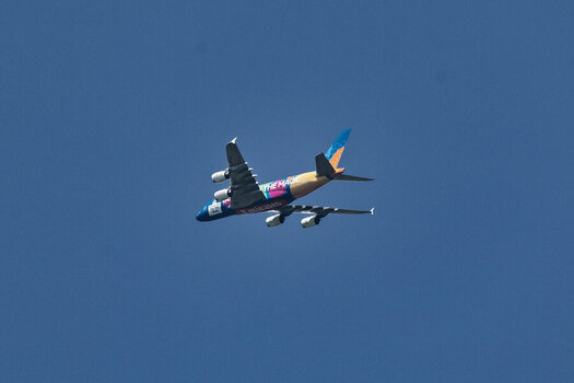 DSC_1253_DxO_DxO.jpg