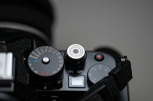 comp__DSC1501.jpg