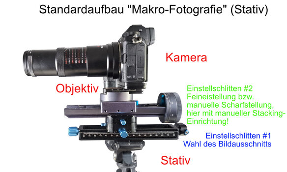 Macro-2.jpg