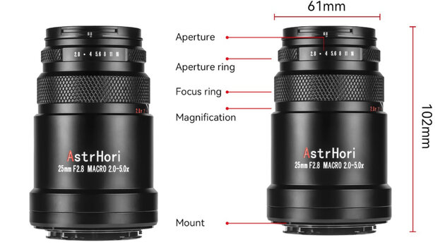 Macro-3.jpg