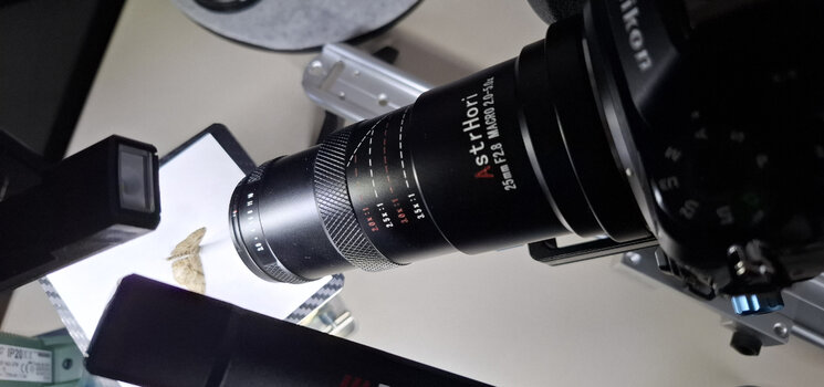 Macro-5.jpg