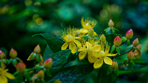 750_3146_DxO.jpg