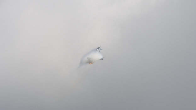 Eurofighter_flight-(25)_2025_DxO.jpg