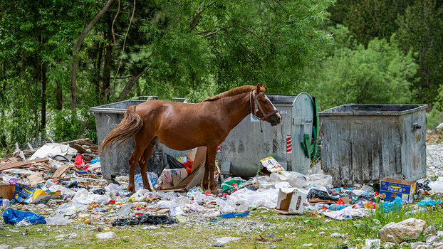 DSC_8927-DxO_DeepPRIME XD2s_XD Kopie.jpg