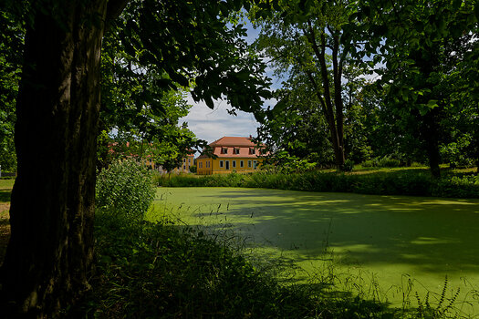 DSC_0472_DxO.jpg