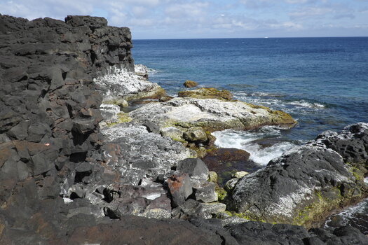 _DSF0549.jpg