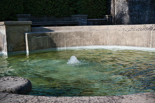 DSC_5554 (1).jpg