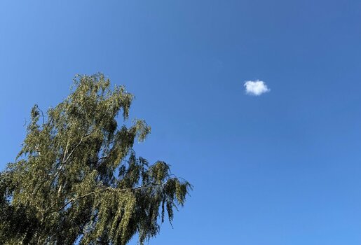 IMG_8447.jpeg
