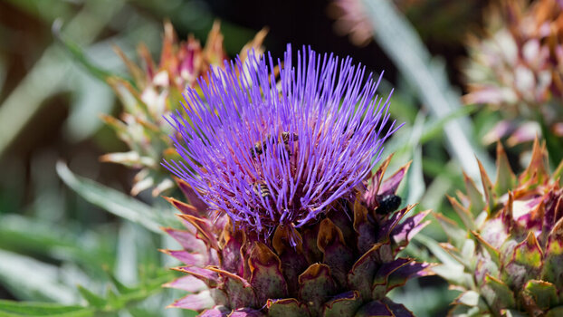 DSC_1283_DxO_DxO.jpg