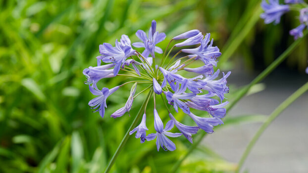 DSC_1294_DxO_DxO.jpg