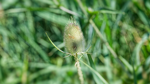 DSC_1316_DxO_DxO.jpg