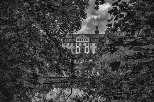 20250713-Schloss-Ringelsheim_009 Kopie.jpg
