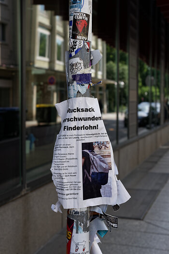 750_3465-DxO_DeepPRIME 3_DxO.jpg