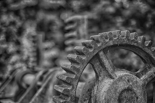 20250713-Schloss-Ringelsheim_002 Kopie.jpg