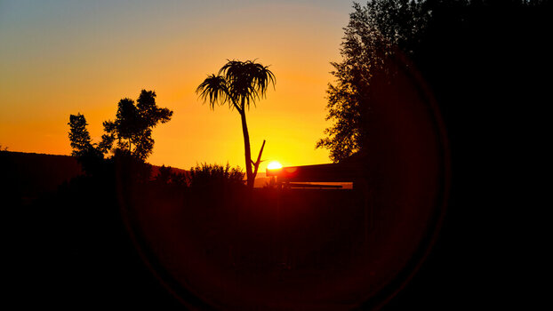DSC_3455_DxO.jpg