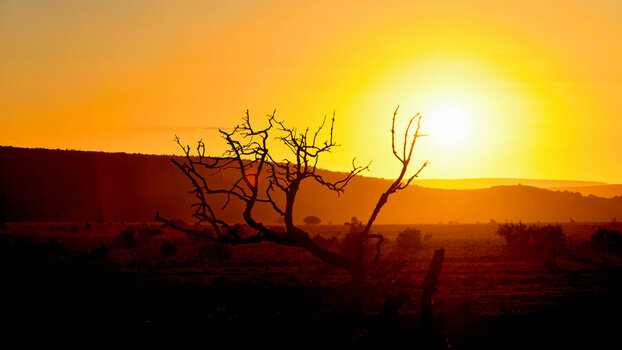 DSC_3457_DxO.jpg