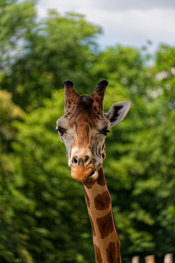 750_3376_DxO_1.jpg