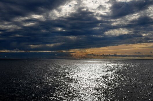 DSC_1318.JPG