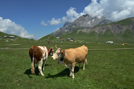 DSC_9052.f.jpg
