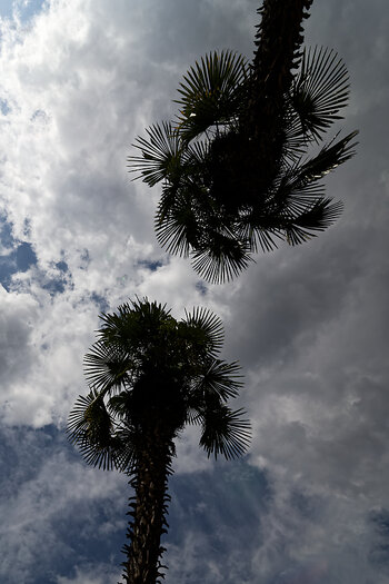 DSC_0692-DxO_DeepPRIME 3_DxO.jpg