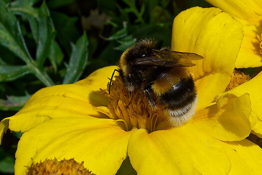 DSC_0644-DxO_DeepPRIME 3_DxO.jpg