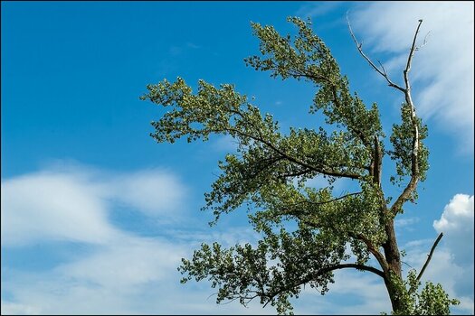 comp_Er ragt in den Himmel.jpg