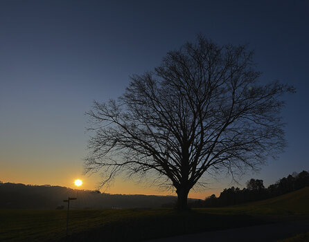 DSC_8182.f.jpg