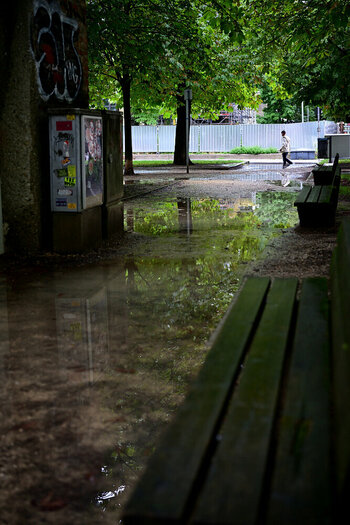 ZGF_5498_01.JPG
