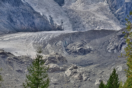 DSC_7321.f.jpg