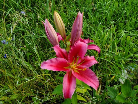 2025-08-06_09-37-59.jpg