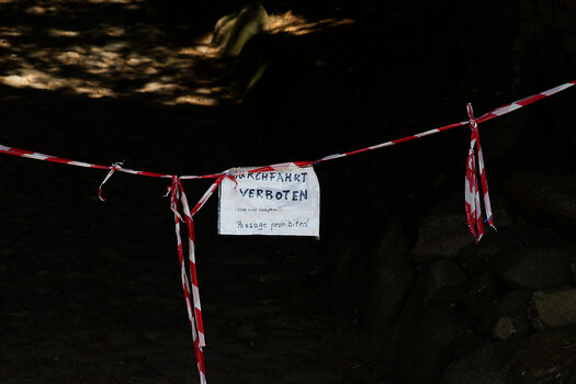 750_3668-DxO_DeepPRIME 3_DxO.jpg
