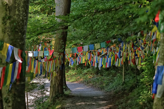 DSC_5856.f.jpg