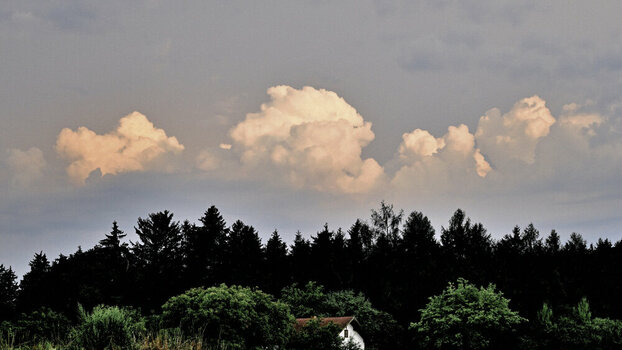 NZ8_8671.JPG