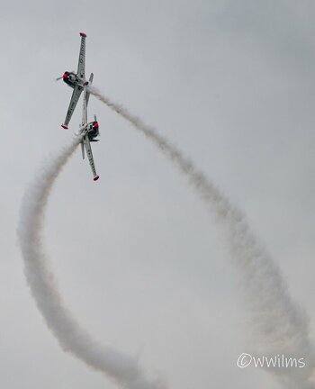 DSC_2715_DxO.jpg