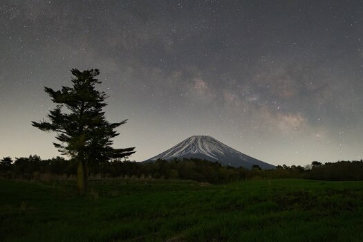 k_041_SIGMA_12mm_F1.4_DC_C_E-mount_ImpressionPhoto_Masami Tanaka.jpg