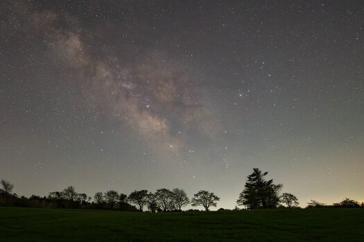 k_042_SIGMA_12mm_F1.4_DC_C_E-mount_ImpressionPhoto_Masami Tanaka.jpg.jpg