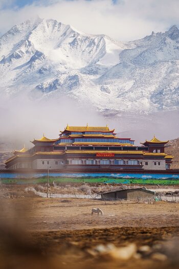 k_049_SIGMA_200mm_F2_DG_OS_S_E-mount_ImpressionPhoto_Yang Sutie.jpg