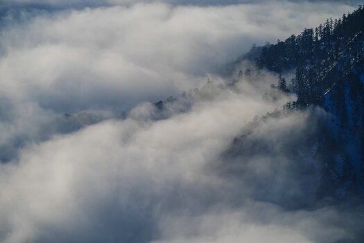 k_054_SIGMA_200mm_F2_DG_OS_S_E-mount_ImpressionPhoto_Yang Sutie.jpg