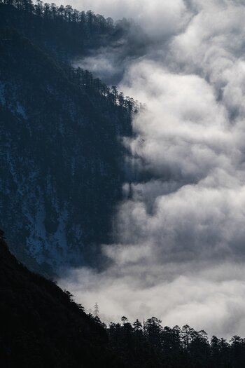 k_055_SIGMA_200mm_F2_DG_OS_S_E-mount_ImpressionPhoto_Yang Sutie.jpg