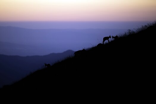 k_057_SIGMA_200mm_F2_DG_OS_S_L-Mount_ImpressionPhoto_Daniel Spohn.jpg